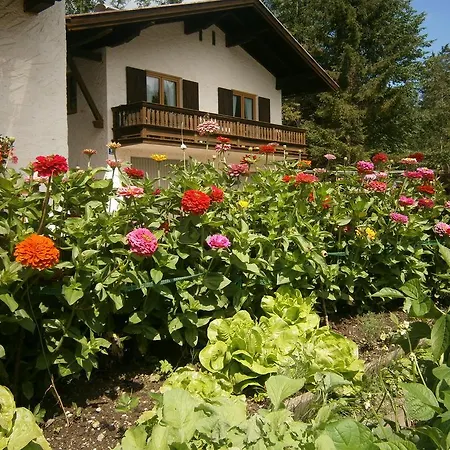 Lägenhet Ferienhaus Wildbachblick Reit im Winkl