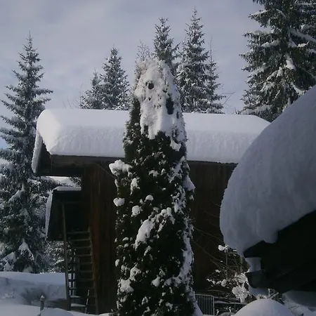 Ferienhaus Wildbachblick *