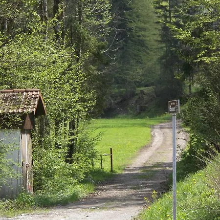 Ferienhaus Wildbachblick Lägenhet