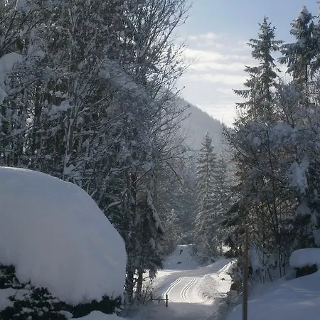 Ferienhaus Wildbachblick Lägenhet *